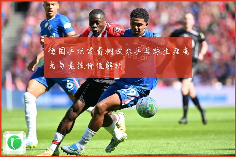 德国乒坛常青树波尔乒乓球生涯高光与竞技价值解析