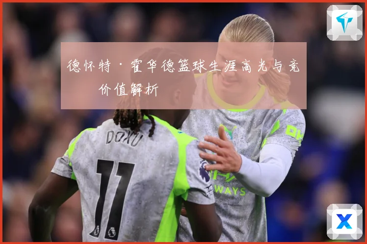 德怀特·霍华德篮球生涯高光与竞技价值解析