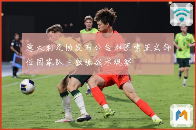 意大利足协发布公告加图索正式卸任国家队主教练战术观察