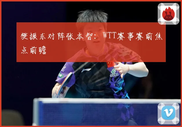 樊振东对阵张本智：WTT赛事赛前焦点前瞻